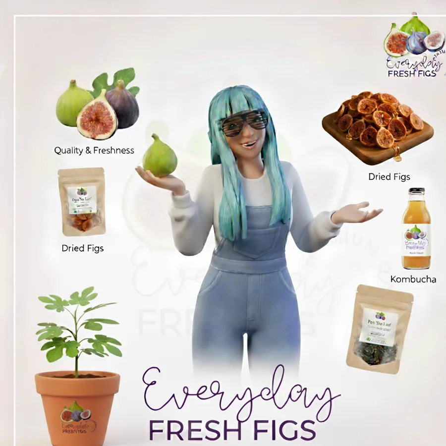 The Everyday Fresh Figs character with fresh figs, dried figs, kombucha and a fig tree
