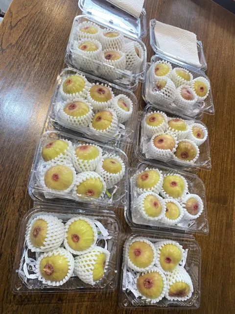 Everyday Fresh Figs, real photo