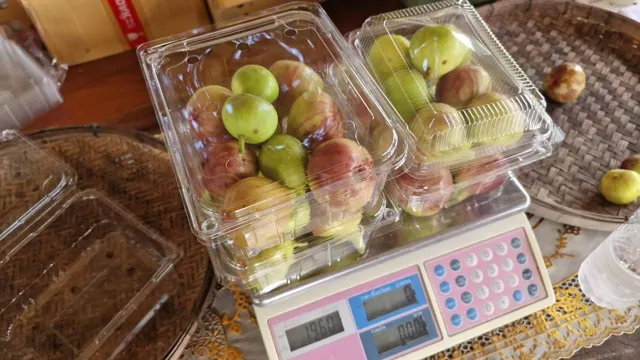 Everyday Fresh Figs, real photo