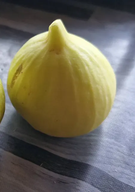 Everyday Fresh Figs, real photo