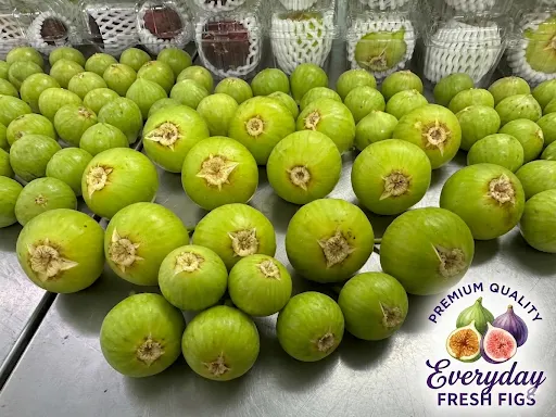 Everyday Fresh Figs, real photo