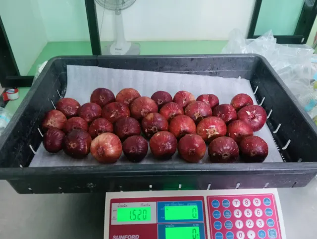 Everyday Fresh Figs, real photo