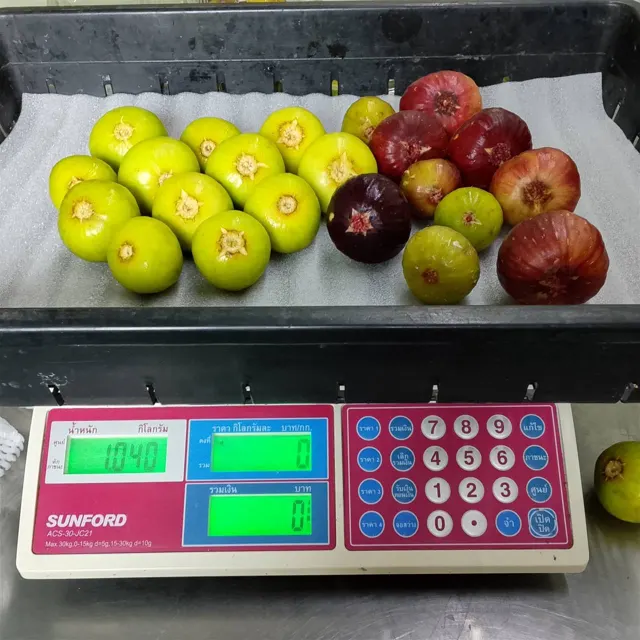 Everyday Fresh Figs, real photo