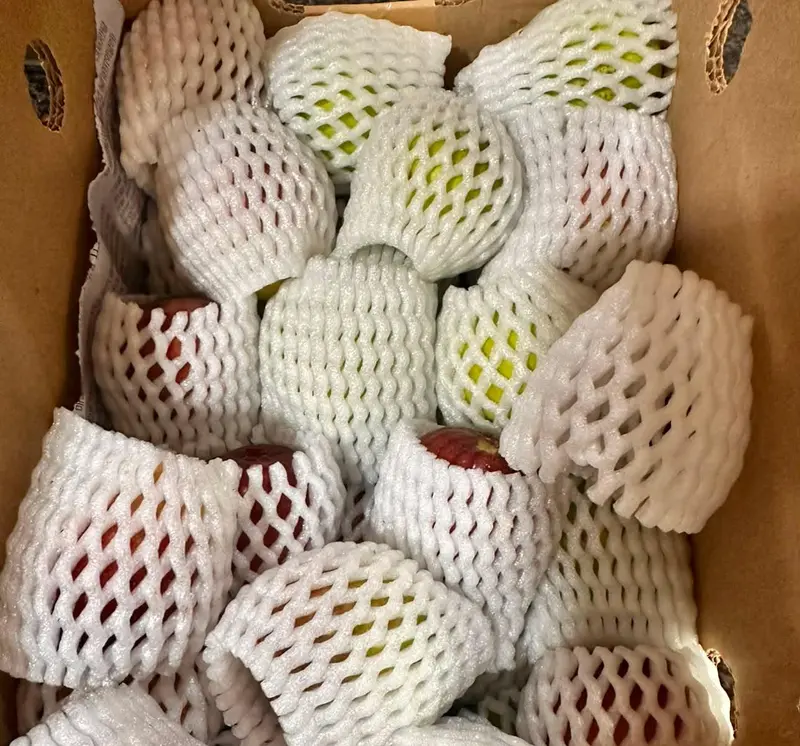 Packed in an insulated foam box