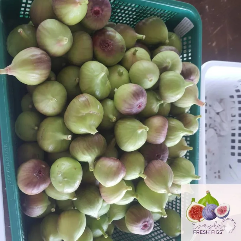 A basket of green figs