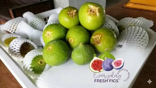 Green figs on a tray, ready for their foam nets