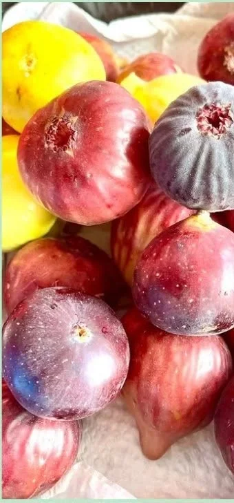 Red, purple and yellow figs in one box