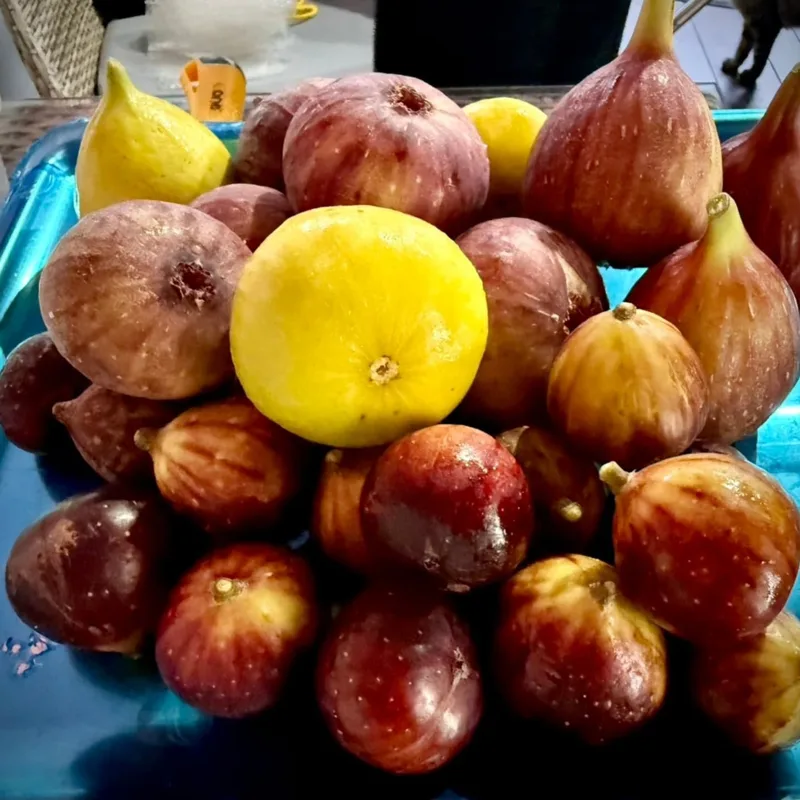 Red and yellow figs together