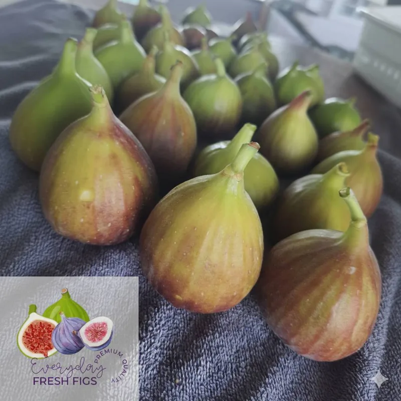 Red and green figs, side by side