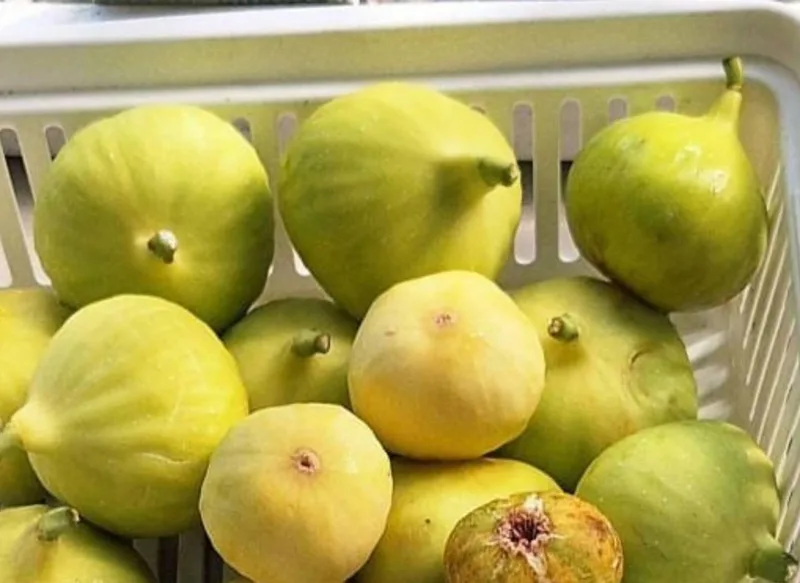 A basket of yellow figs